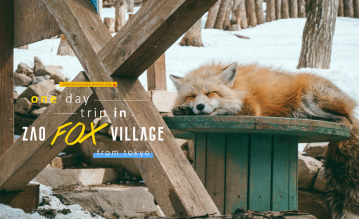 แผนเที่ยว “หมู่บ้านสุนัขจิ้งจอก” แบบ ONE DAY TRIP จากโตเกียว / One day trip in Zao fox village