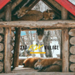 Plan-fox-village-resize
