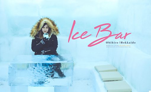 ice bar obihiro hokkaido