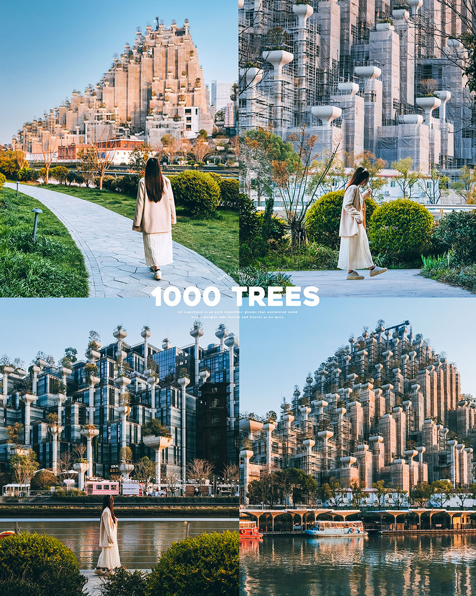 ที่เที่ยวเซี่ยงไฮ้ 1000 TREES